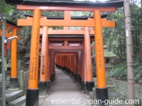 Torii Gates