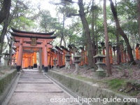 Fushimi Inari Torii