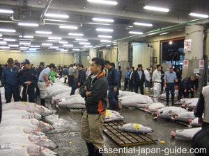 Ginza Tsukiji Fish Market
