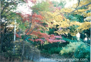 Imperial Palace East Gardens