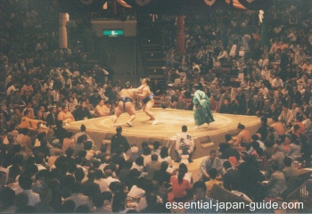 Japan Sumo Wrestling