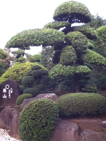Komawaza Japanese Garden