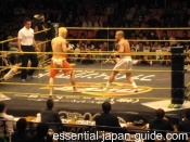 Japan New Year's MMA