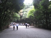 Meiji Jingu Pathway