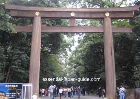 Hachiko Crossing