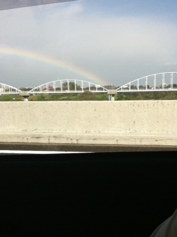 Japan Rainbow Japan Rainbow