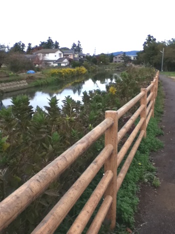 River Path River Path