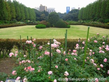 Shinjuku Gyoen