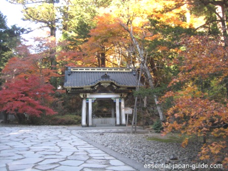 Taiyuinbyo in Autumn