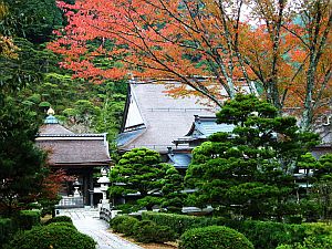 Japanese Hot Springs