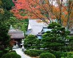Japanese Temple Lodging