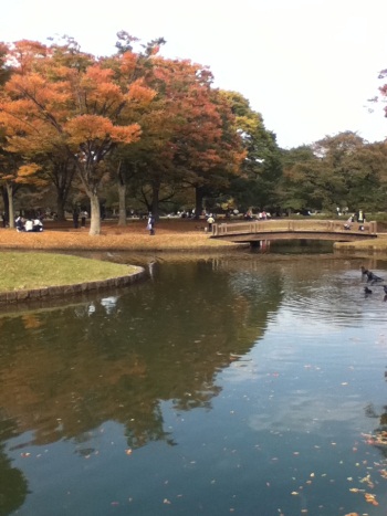 Yoyogi Park Yoyogi Park